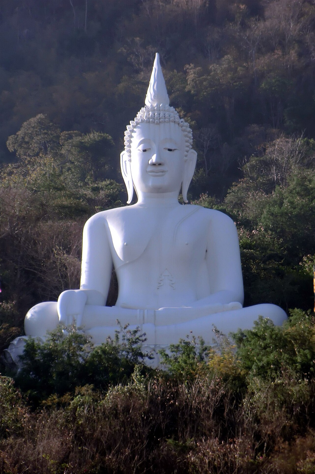 วัดเทพพิทักษ์ปุณณาราม (วัดพระขาว)